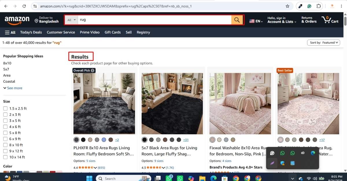 Searching for the best rugs on Amazon by style, color, and size