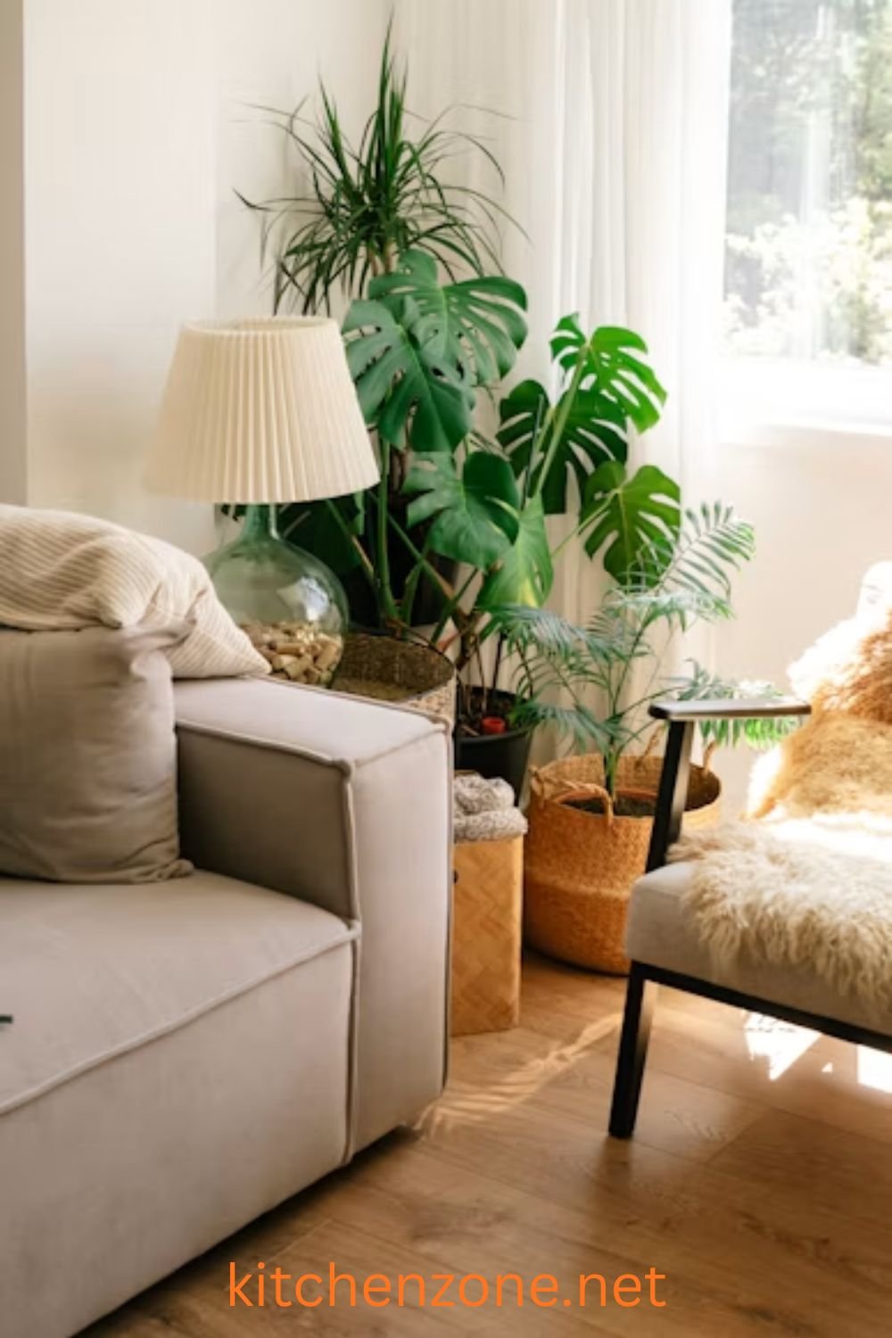 Living room sofa corner with a tall indoor plant and hanging shelf greenery