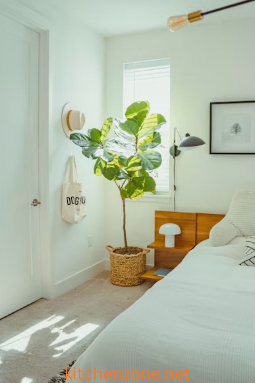 Cozy bedroom corner featuring hanging plants and window sill greenery