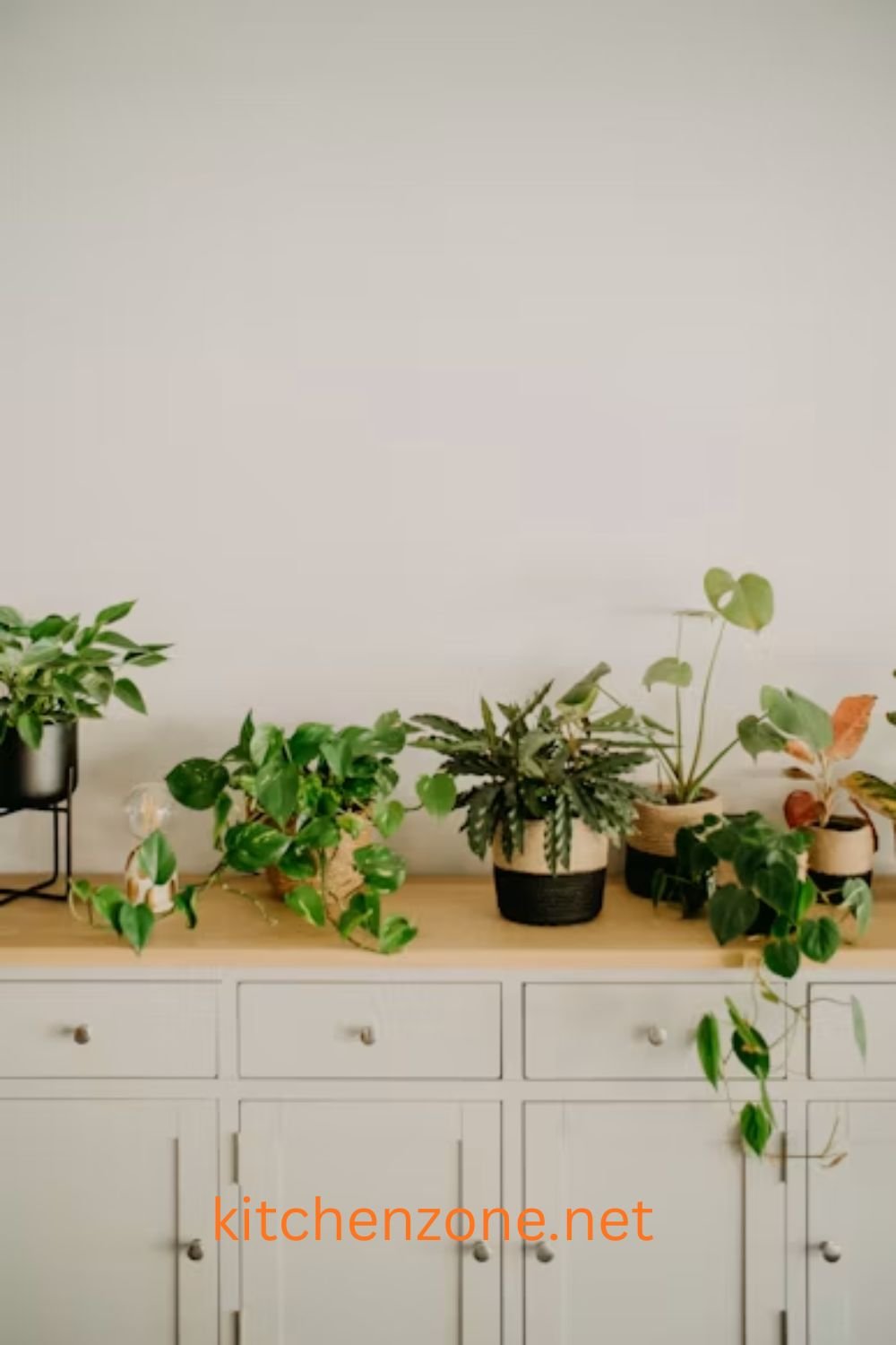 Small entry console table styled with potted plants for a welcoming entrance