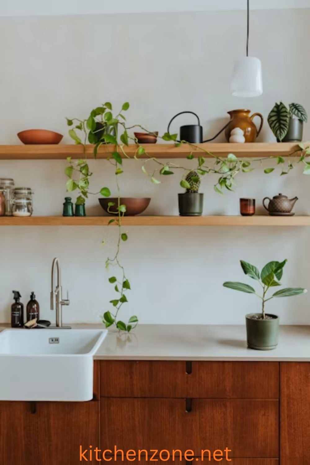 Kitchen floating shelves with fresh indoor herbs and trailing plants
