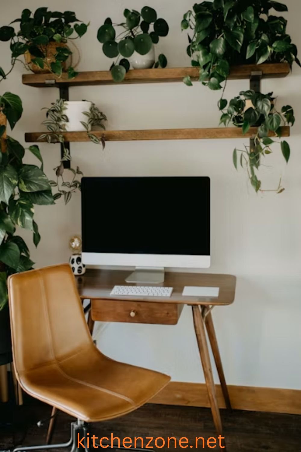 Home office desk and bookshelf decorated with small indoor potted plants